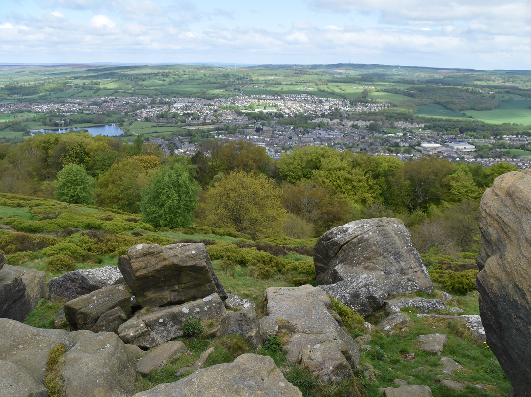 Chevin Forest Park景点图片