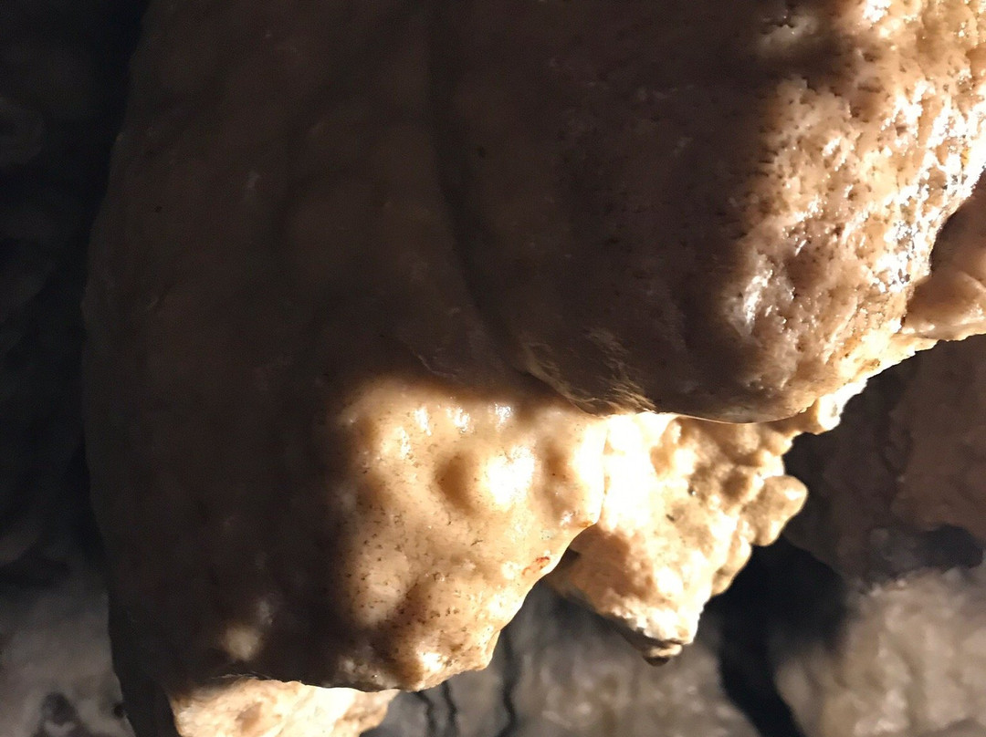 Otake Cave-秋留野市必去景点