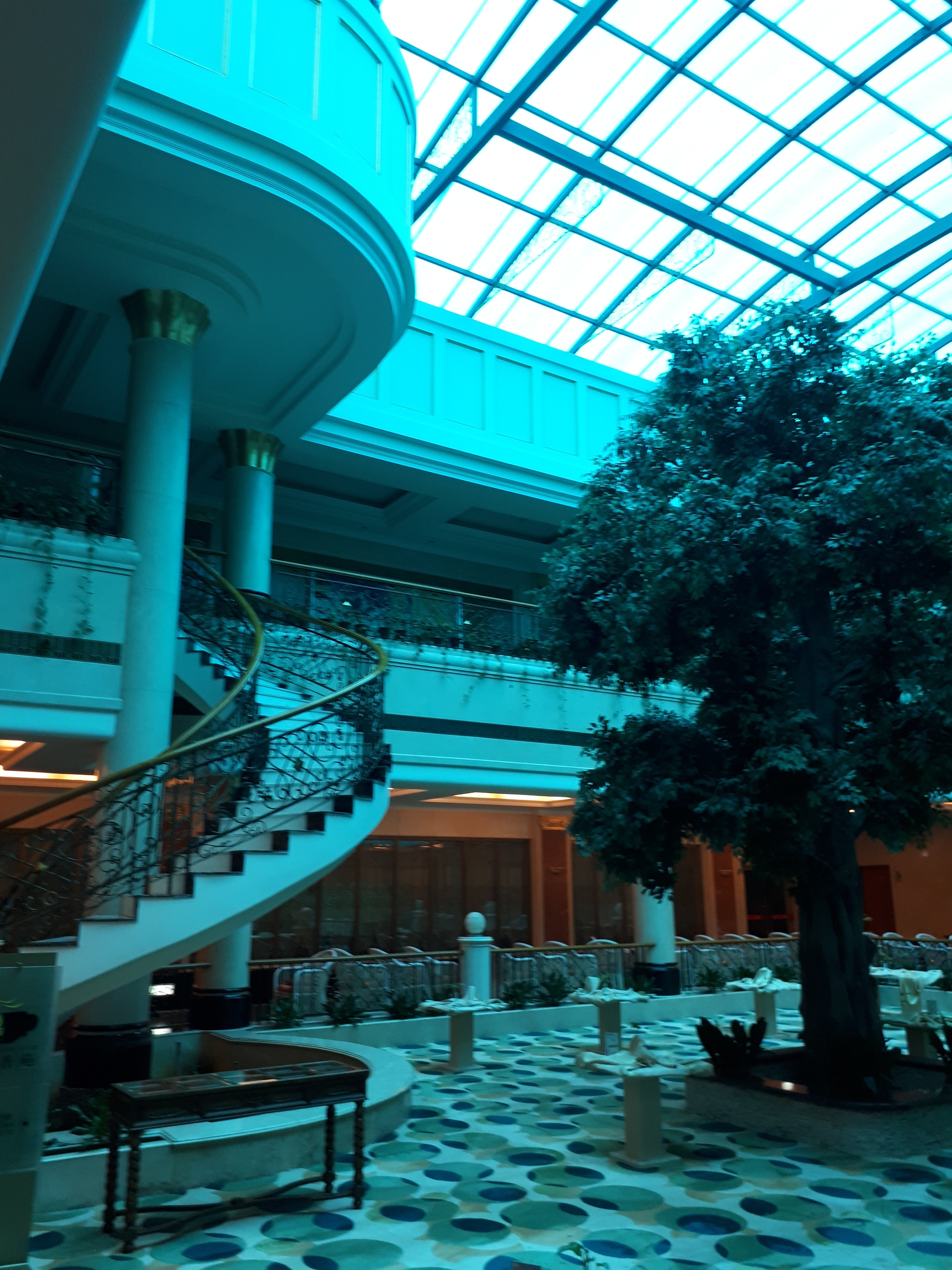 平湖圣雷克大酒店-官方