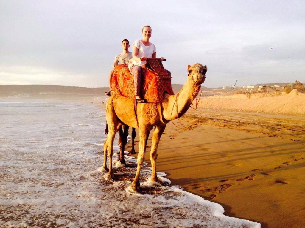 Agadir Horse & Camel景点图片