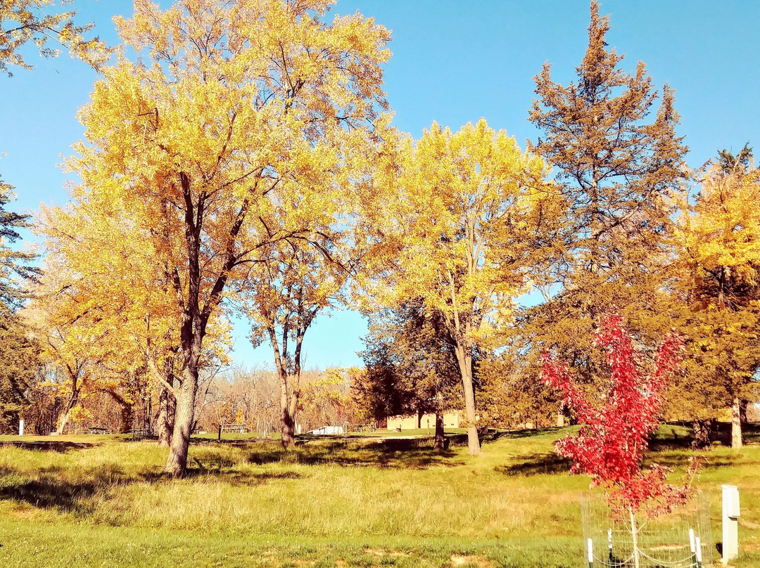 Lake Wapello State Park-Drakesville必去景点