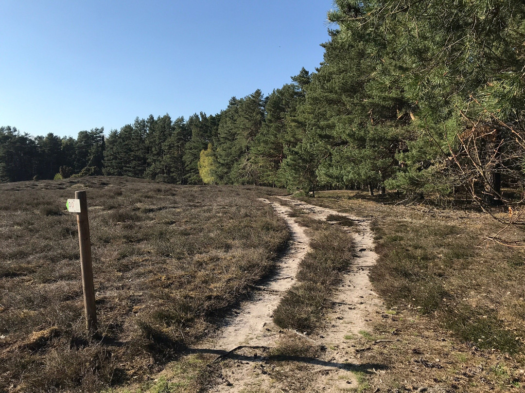 Klein Büenstorfer Heide-巴特贝文森必去景点