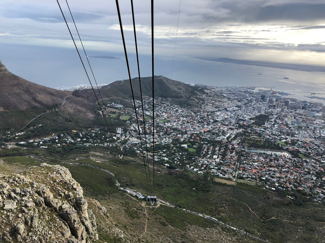 PG Tops Travel and Tours - Day Tours-开普敦中心区必去景点