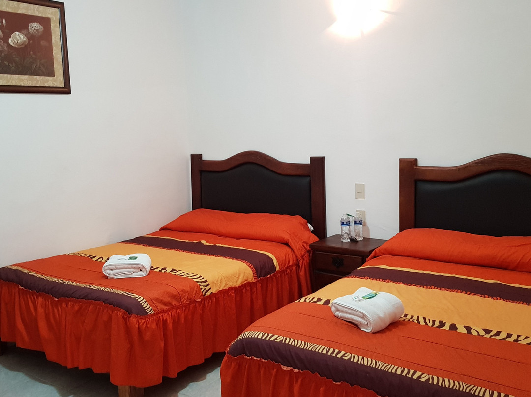 Hotel El Jardin Del Eden主图