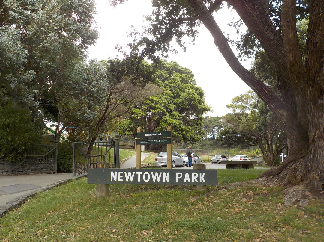 Newtown Park Play Area景点图片