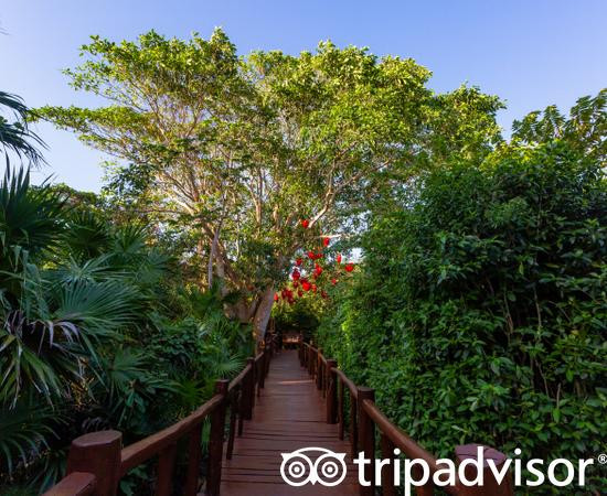 Grand Palladium Colonial Resort & Spa - All Inclusive主图