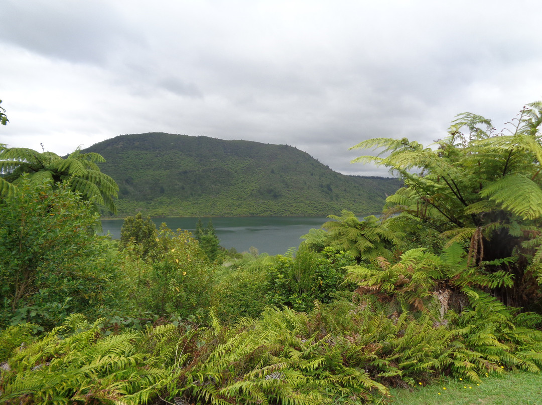 Lake Rotokakahi景点图片