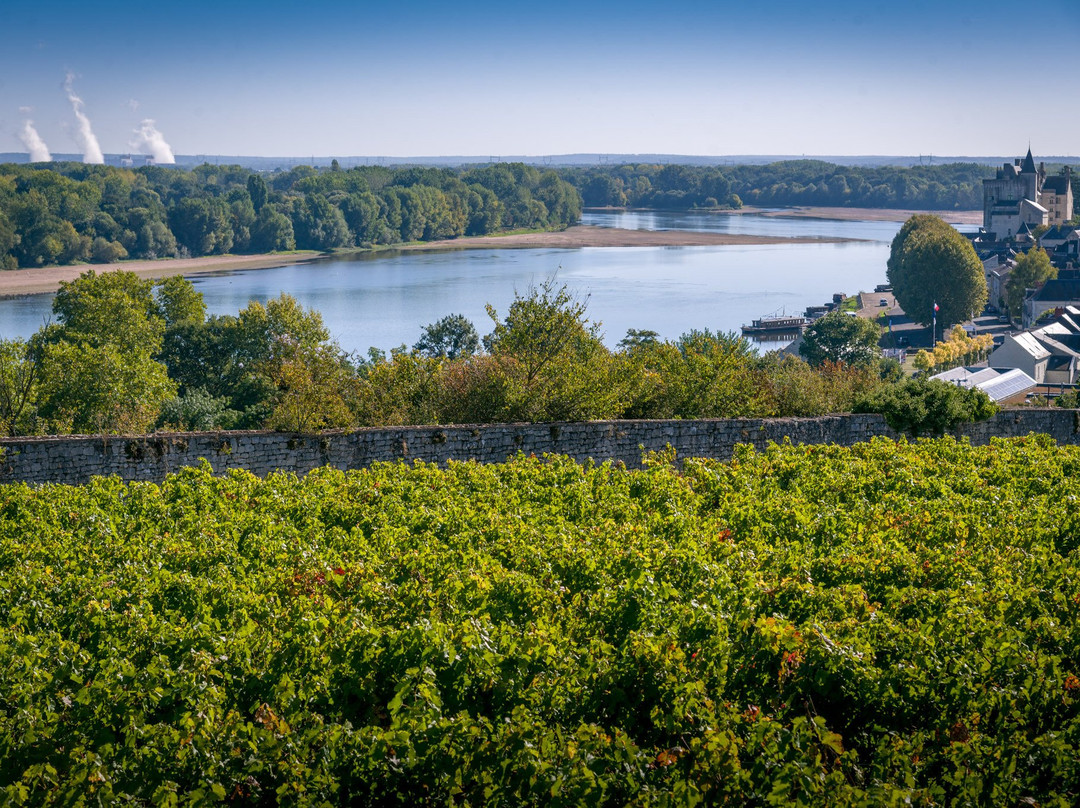 Domaine de la Perruche景点图片