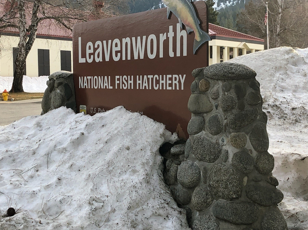 Leavenworth National Fish Hatchery景点图片
