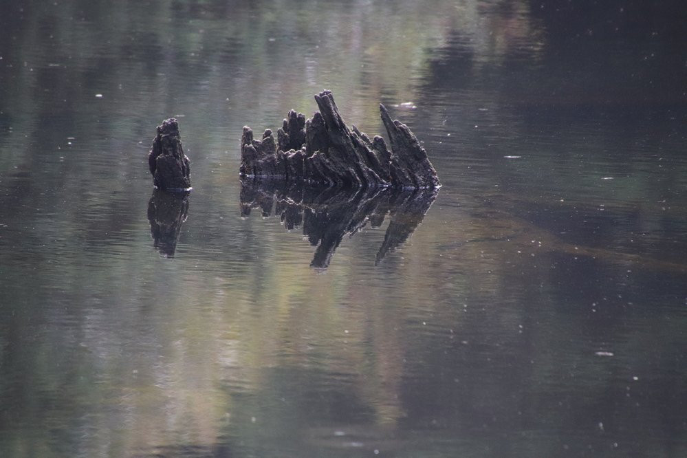Canyon Drive Park-林肯城必去景点