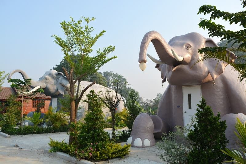 Save Elephant Foundation - Surin Project景点图片