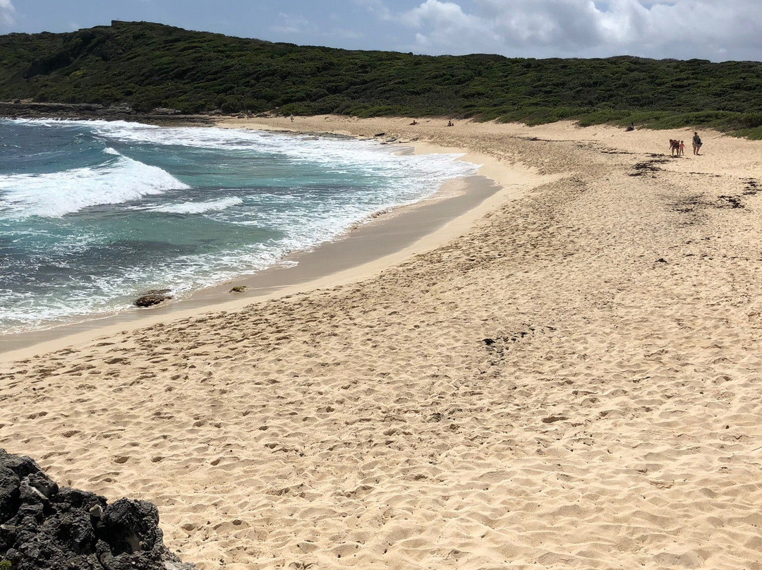 Notre Dame de Guadaloupe-Pointe-a-Pitre必去景点