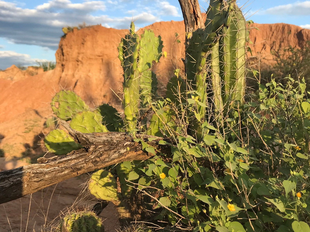 Desierto de la Tatacoa-Villavieja必去景点