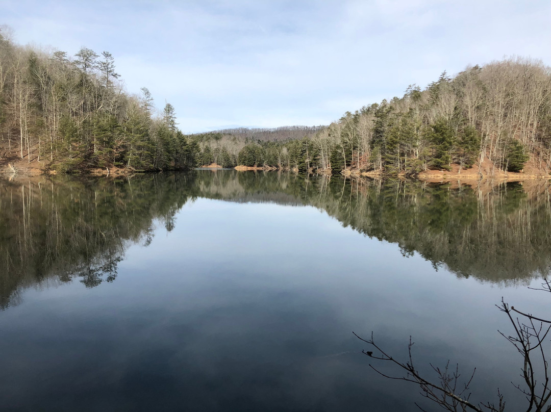 Gatewood Park-Pulaski必去景点