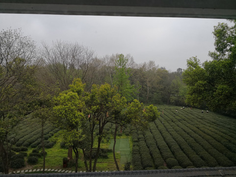 杭州殊胜龙井酒店（西湖灵隐店）主图