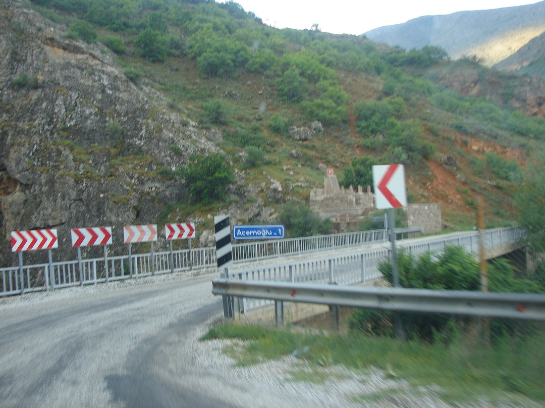 Acemoglu Koprusu Sehitler Anıtı景点图片