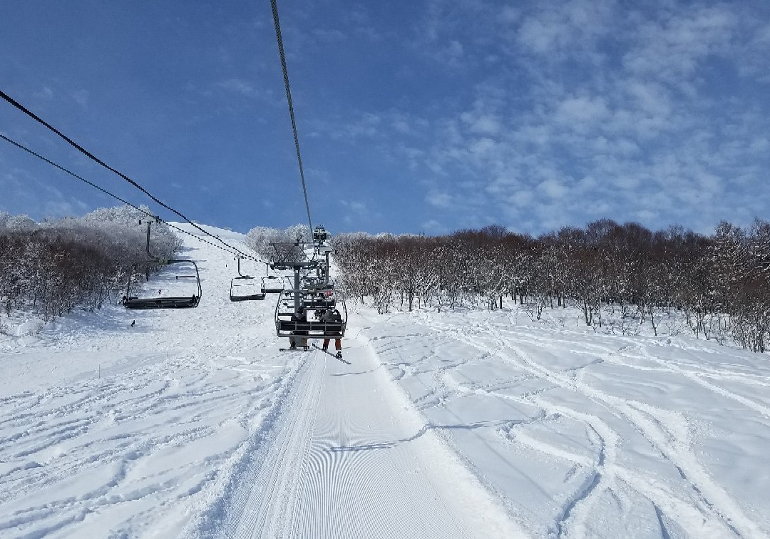 Maiko Snow Resort景点图片