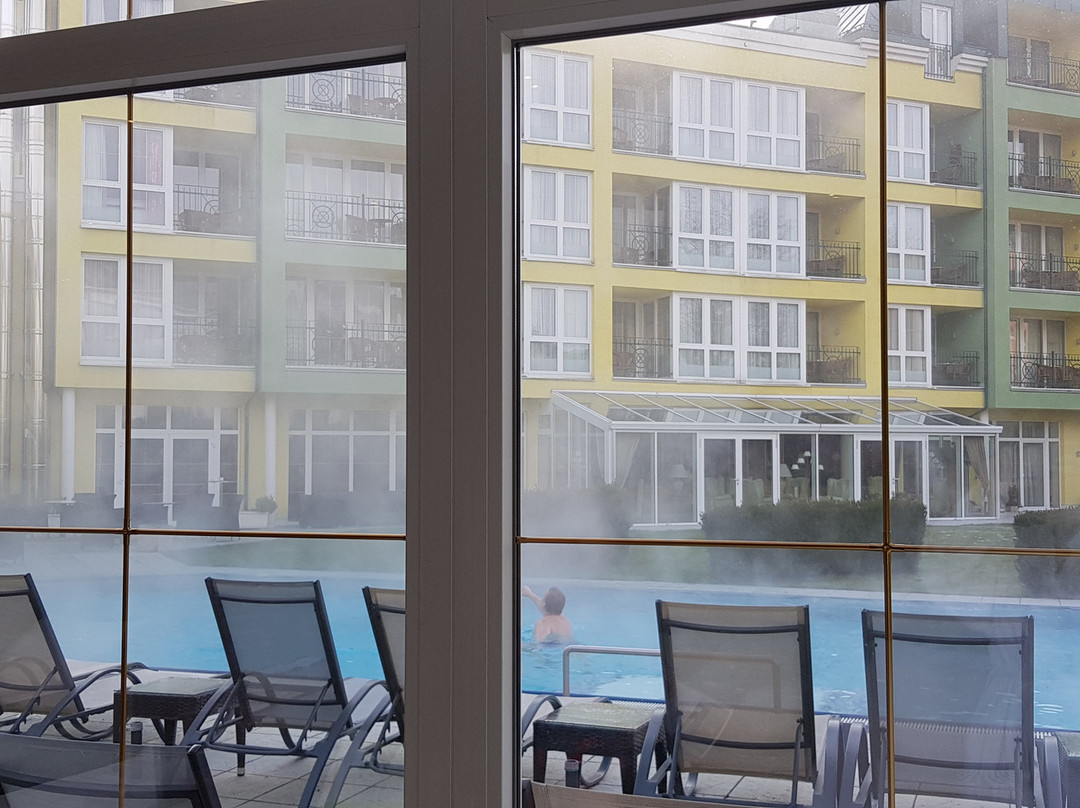 Parkhotel Bad Schallerbach主图