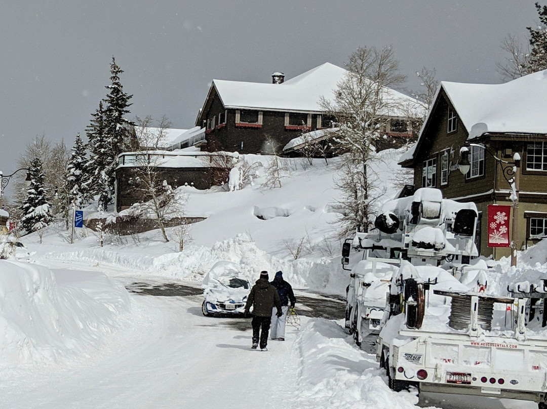 六月湖松树酒店主图