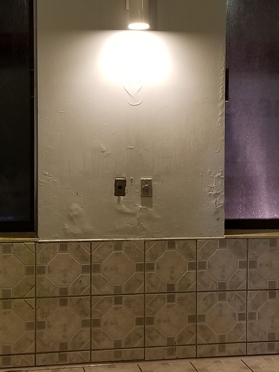 红屋顶酒店-弗林特-泳池