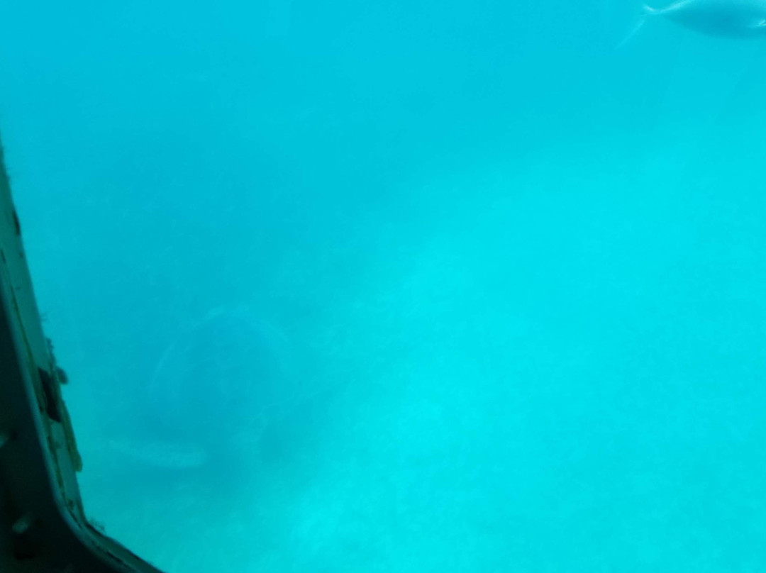 Seaworld Explorer-拿骚必去景点