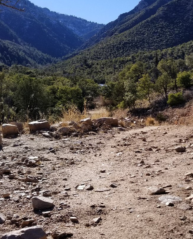 Miller Canyon景点图片