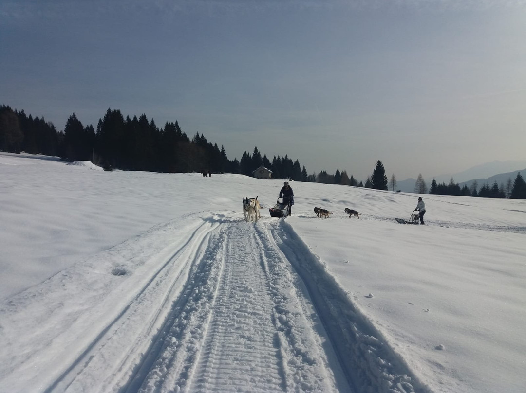 Scuola Sleddog Federale Nazionale-Lavarone必去景点