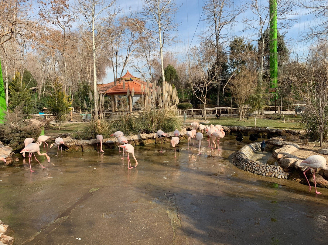 Birds Garden景点图片