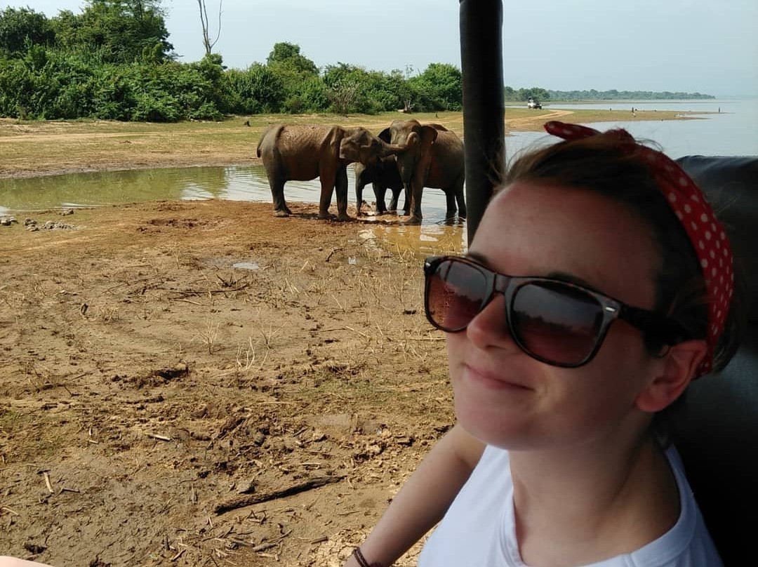 Summer Dew Tours-加勒必去景点