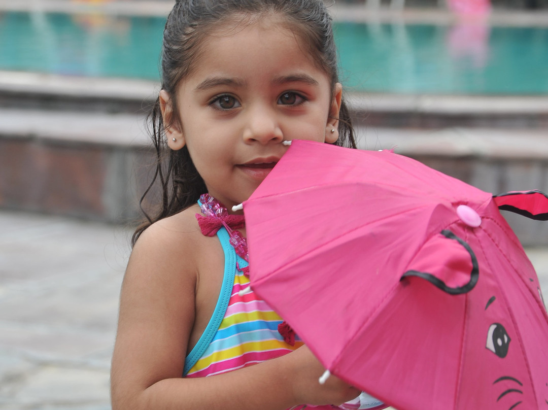 The Kikar Lodge主图