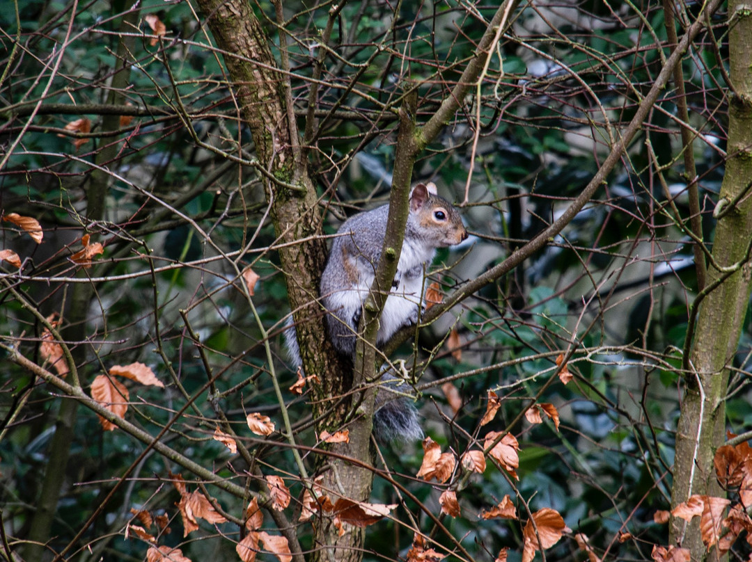 Bold Venture Park-Darwen必去景点