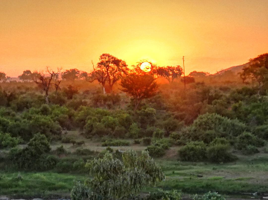 Pestana Kruger Lodge主图