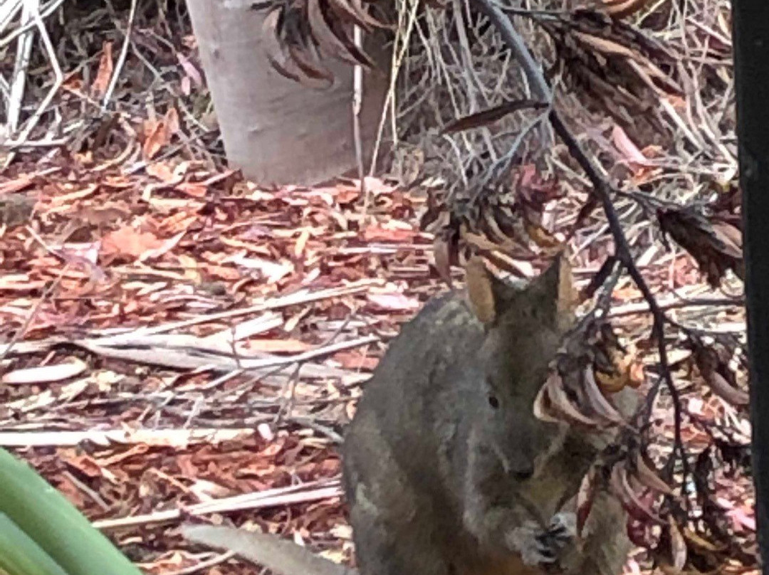 牡蛎湾木屋主图
