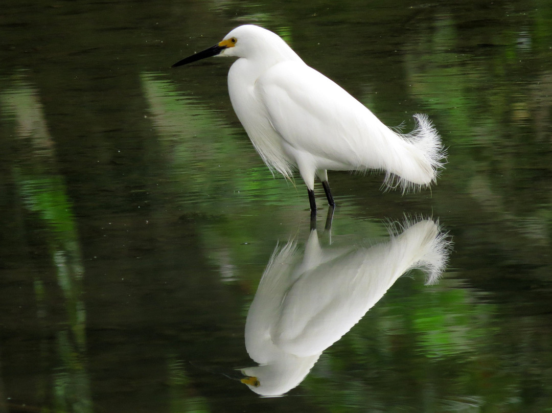 Los Colores Ecoparque主图