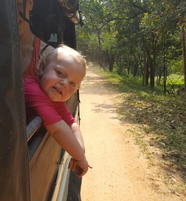 Royal Ceylon Leisure-奴娃拉伊利雅必去景点