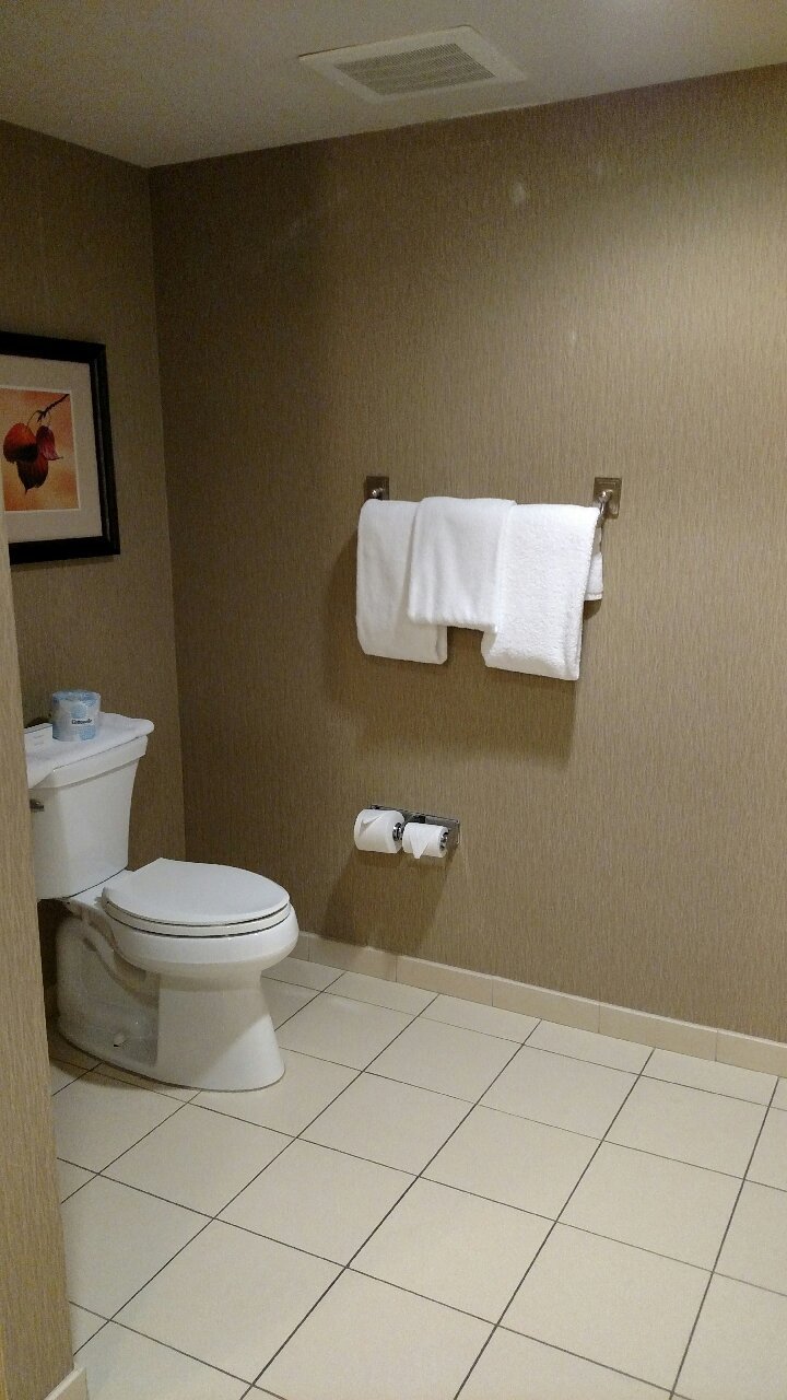 Hilton Garden Inn Clifton Park-浴室