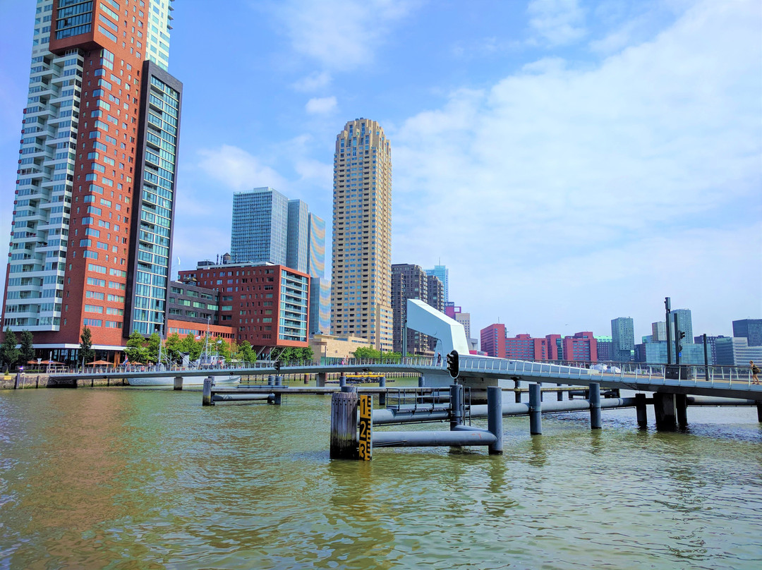 Rijnhavenbrug-鹿特丹必去景点