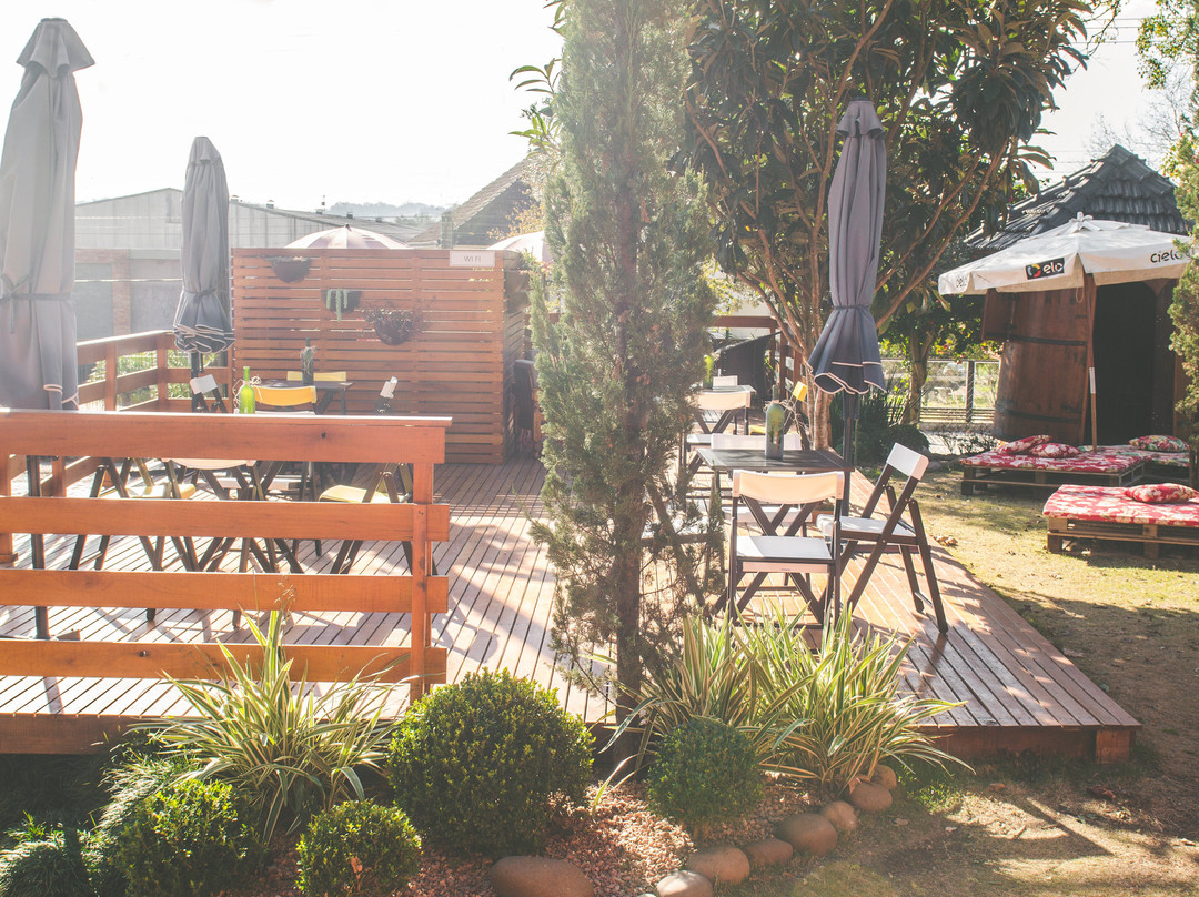 Vineyards Wine And Food