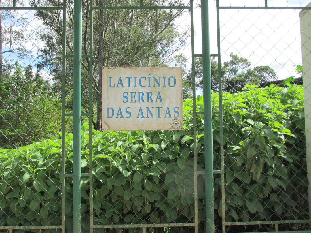 Laticinio Serra das Antas-Bueno Brandao必去景点