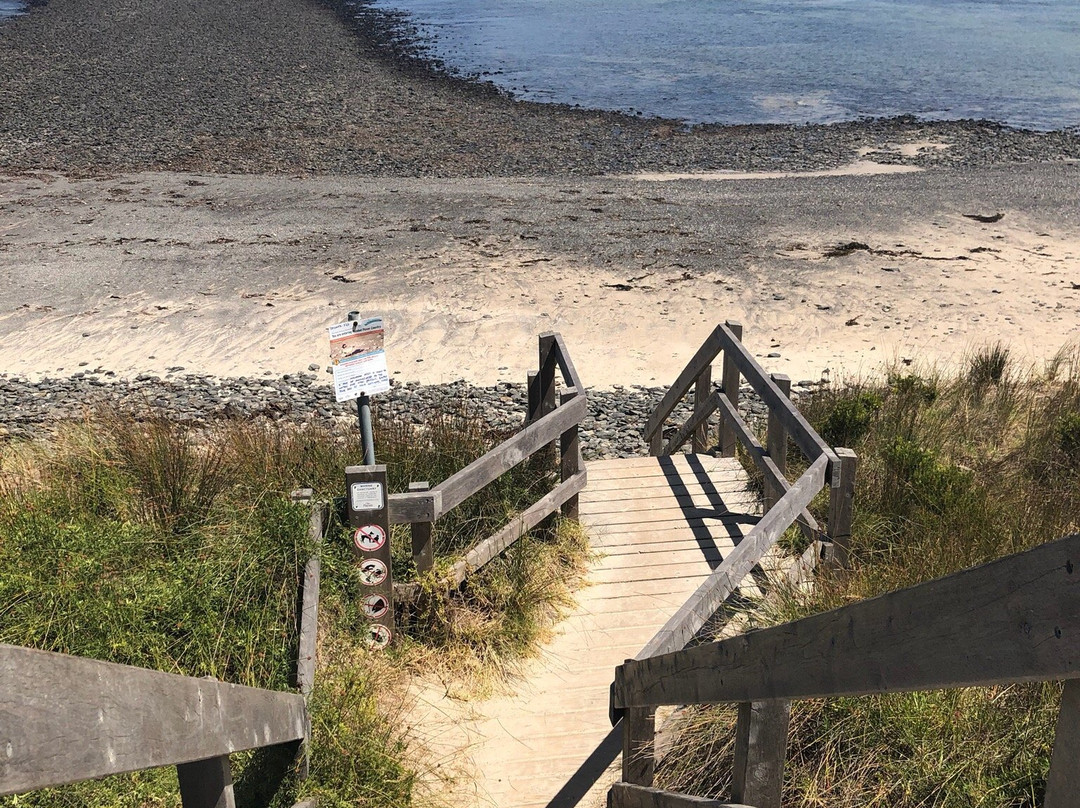 Ocean Beach-弗林德斯必去景点