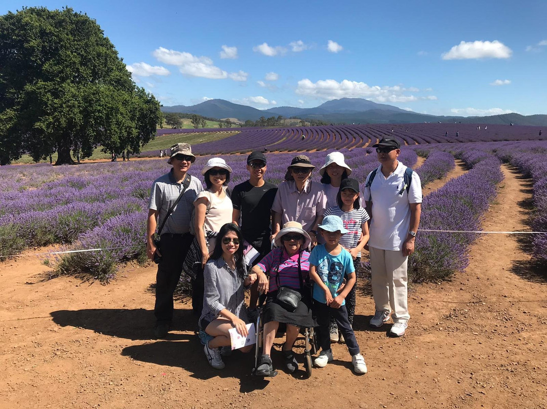 Outdoor Tasmania-朗塞斯顿必去景点