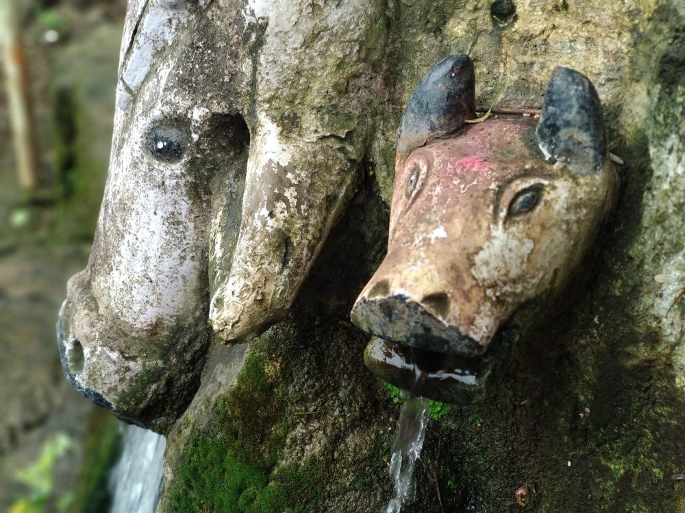 Gaumukh Waterfalls景点图片