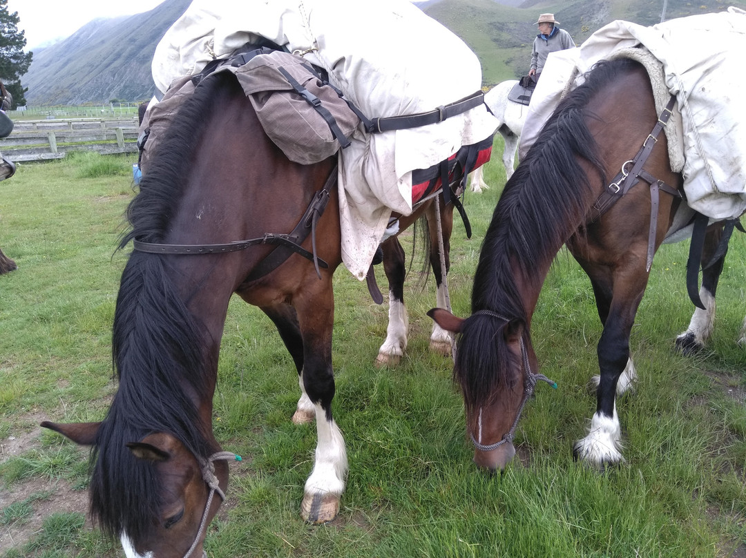 Adventure Horse Trekking NZ Ltd.景点图片