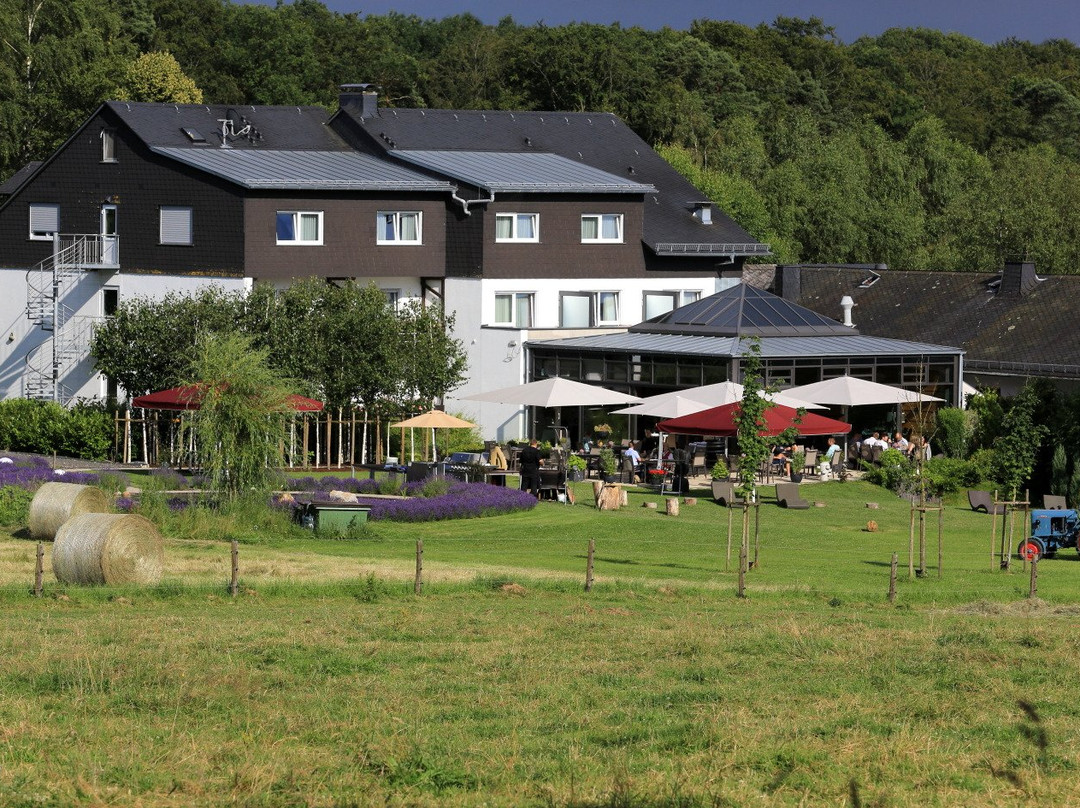 Landidyll Hotel Birkenhof主图