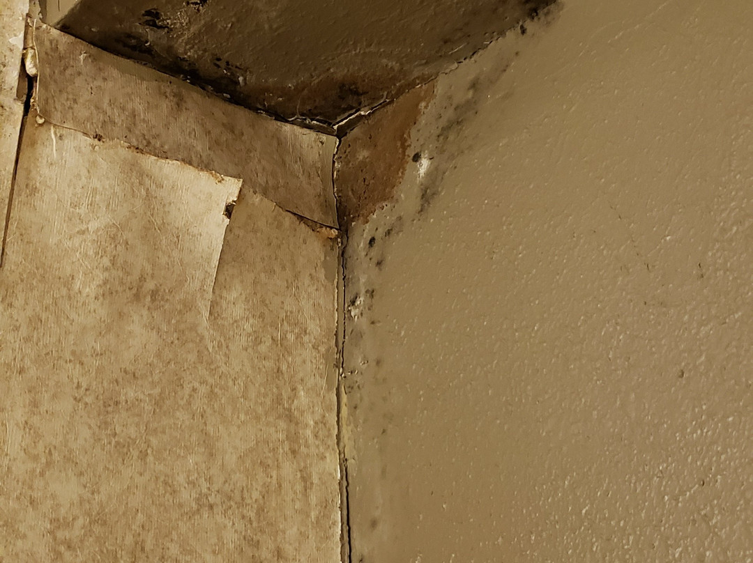 TownHouse Hotel Grand Forks主图