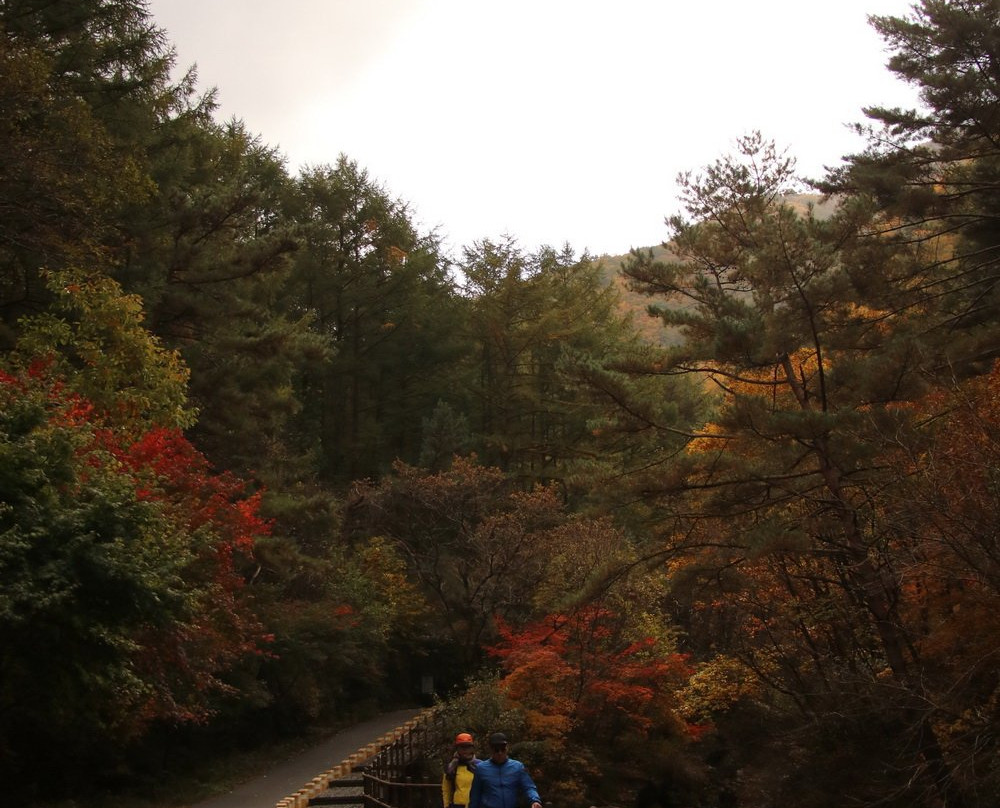 Sobaeksan National Park Samga-荣州市必去景点