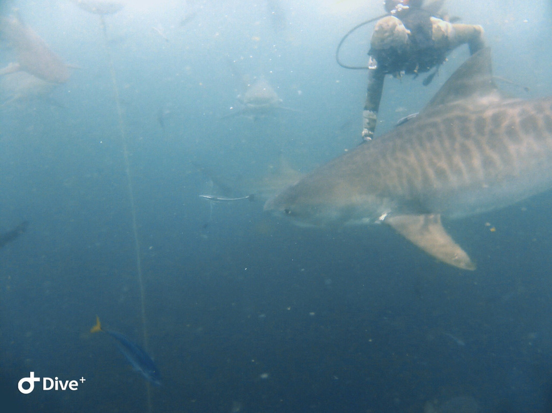 African Watersports-Umkomaas必去景点