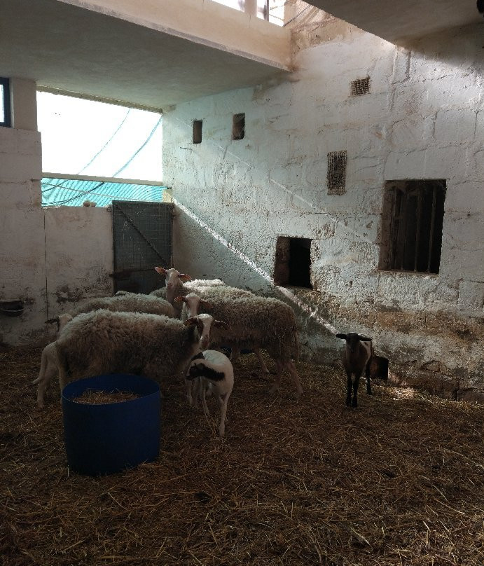 Merill-Qormi必去景点