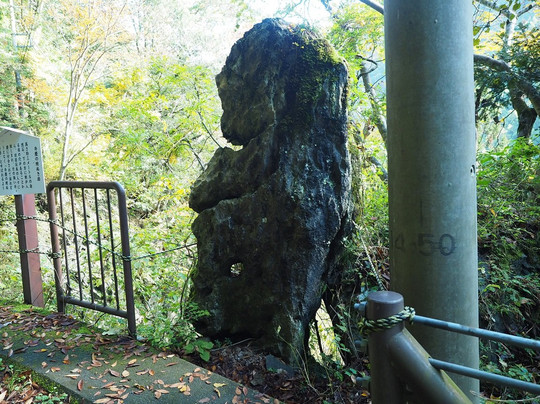 Benkei no Udenuki Rock-奥多摩町必去景点