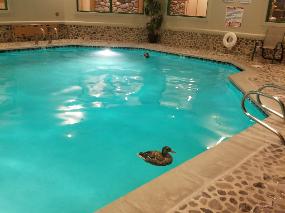 Best Western Plus Kentwood Lodge主图